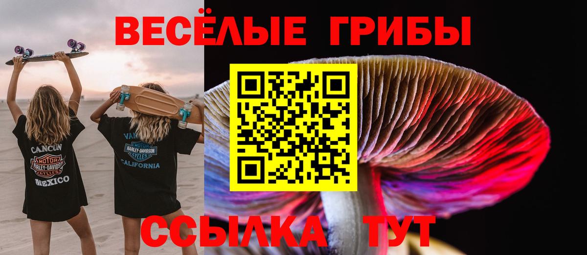 Псилоцибиновые грибы прущие грибы Троицк